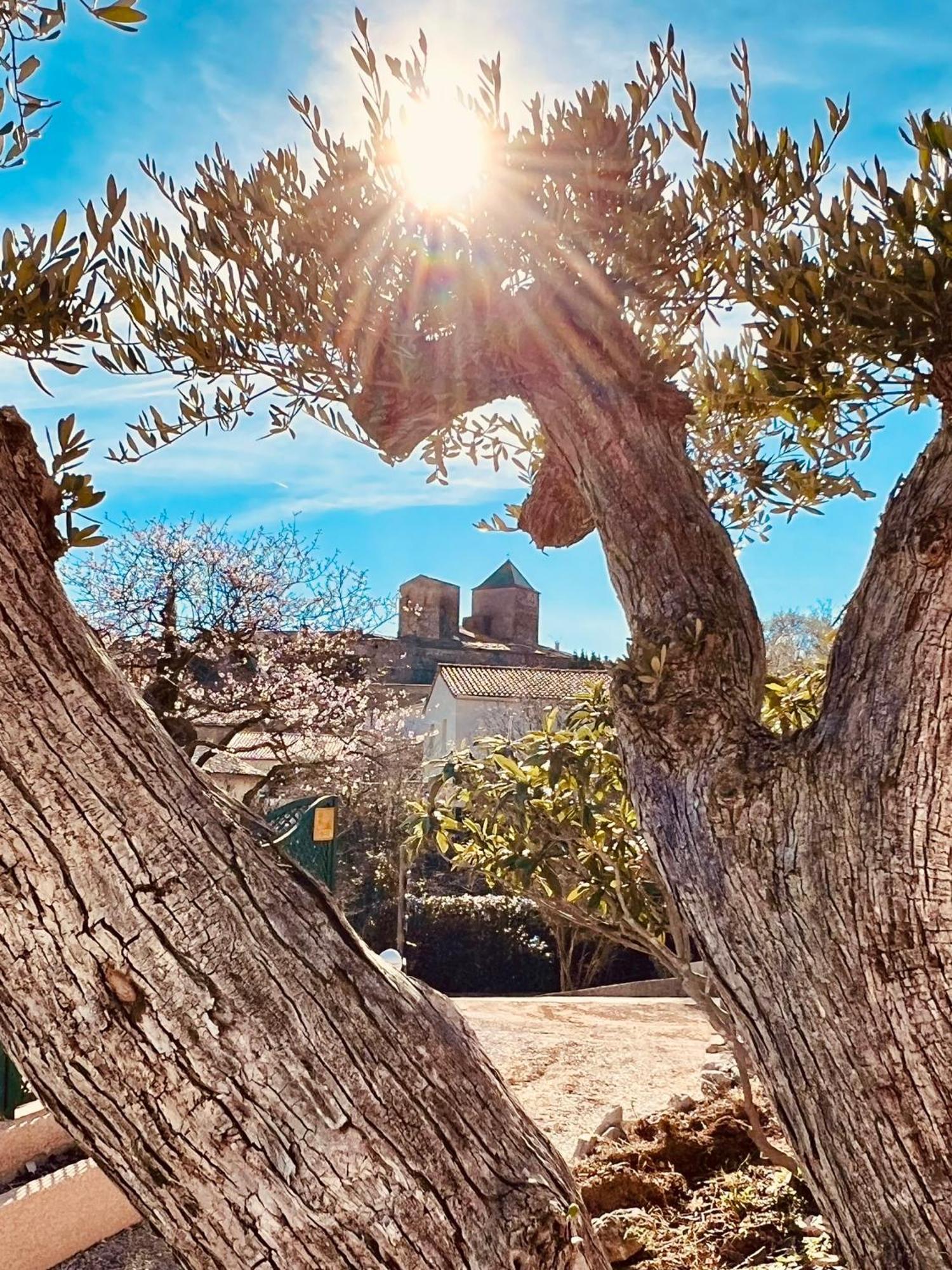 Melisande Au Pays Des Orjouliers Saint-Jean-de-Fos Ngoại thất bức ảnh