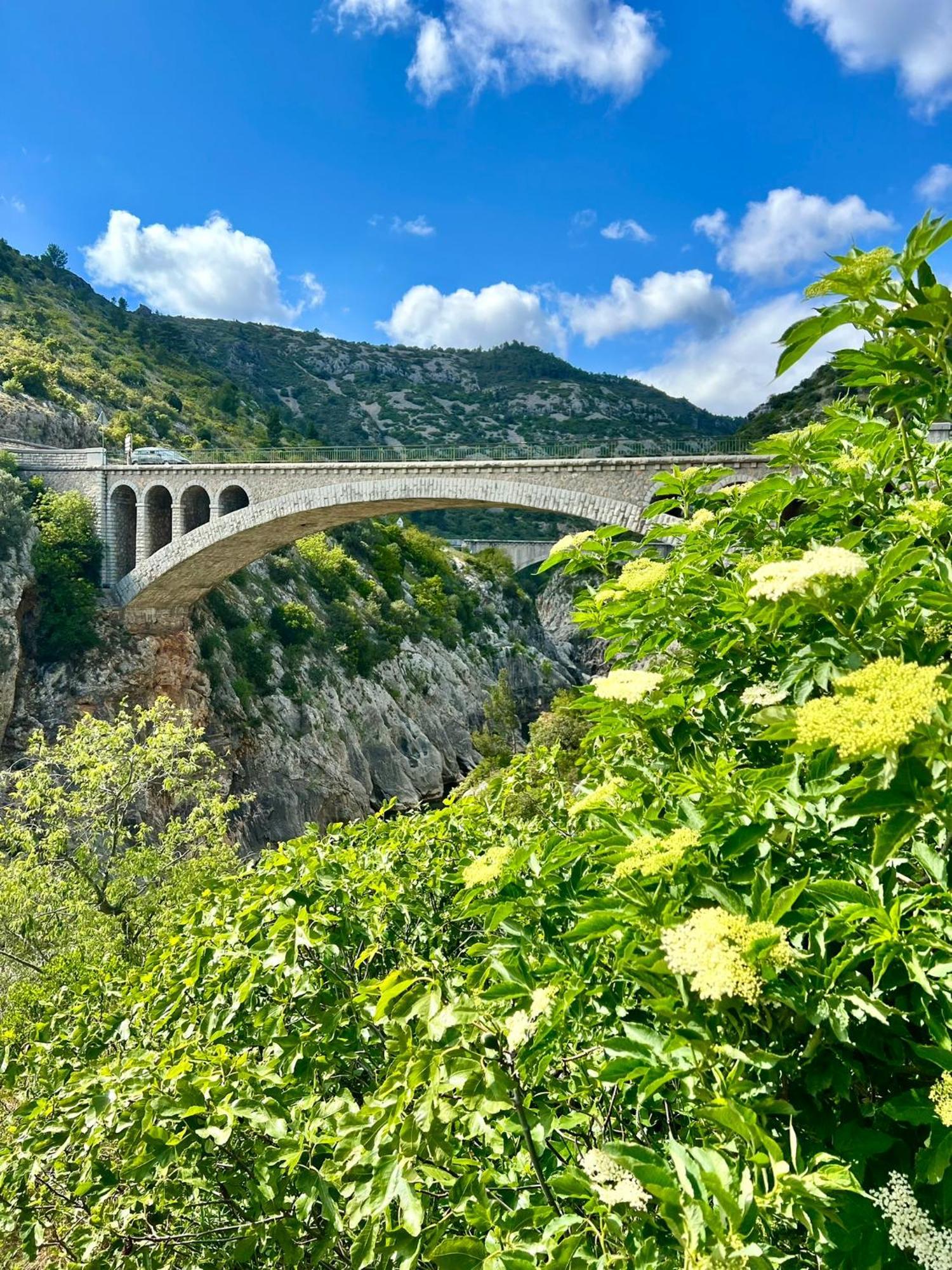 Melisande Au Pays Des Orjouliers Saint-Jean-de-Fos Ngoại thất bức ảnh